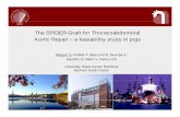 The SPIDER-Graft for Thoracoabdominal Aortic Repair – a ... · PDF fileThe SPIDER-Graft for Thoracoabdominal Aortic Repair – a feasability study in pigs Wipper S, Kölbel T, Manzoni