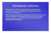 Phylogenetic InferencePhylogenetic Inference · PDF fileof a group of organisms is calledof a group of organisms is called phylogenetic inferencephylogenetic inference. ... the phylogeny