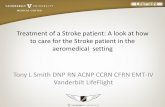 Treatment of a Stroke patient: A look at how to care for ... CVA Sympo… · to care for the Stroke patient in the ... Ischemic cerebrovascular disease Treatments ... plan of care