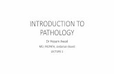 INTRODUCTION TO PATHOLOGY -   · PDF fileInflammation 3. Neoplasia. ... - My slides are a summary of the book! Course design! ... What is pathology? •Patho = disease