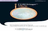 CHROMagarTM Vibrio - CHROMagar Chromogenic · PDF fileCHROMagarTM Vibrio For isolation and detection of V.parahaemolyticus, V.vulnificus and V.cholerae Medium Performance DIFFERENT