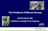 The Pediatric Difficult Airway - UCD Emergency Medicine · PDF filePediatric Airway Anatomy ¾Obligate nasal breathers with narrow nares ¾Larynx is cephalad C3 (adults C5) ¾Epiglottis