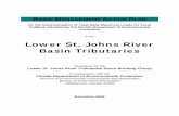 in the Lower St. Johns River Basin Tributaries · PDF fileFinal Lower St. Johns River Basin Management Action Plan – December 2009 ii ACKNOWLEDGMENTS: The Lower St. Johns River Tributaries