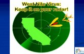 West Nile Virus: Keep it on Your Radarwestnile.ca.gov/downloads.php?download_id=2369&filename=KeepW… · Yellow fever Dengue ... on infectious clones of yellow fever and West Nile