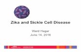 Zika and Sickle Cell Diseasecasicklecell.org/img/Zika_SCDC_Updates.pdf · risk factors for dengue haemorrhagic fever/dengue shock syndrome ... Hospital discharge, ED, ... SCD Plan