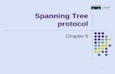 Spanning Tree protocol - Linn–Benton Community Collegecf.linnbenton.edu/bcs/cs/beckerd/upload/CIS153S10Ch5.pdf · where Etherchannel is used. ... tree protocol (PVST). Per-VLAN