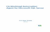 CA Workload Automation Agent for Microsoft SQL Server Workload Automation...CA Workload Automation Agent for Microsoft SQL ... a component of Microsoft SQL Server. The guide ... Using