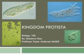 Kingdom Protista -   - College of the · PDF fileKINGDOM PROTISTA Biology 106 By: Sameera Haq Professor Taylor Anderson-McGill