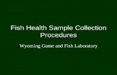 Fish Health Sample Collection Procedures Us/LAB... · If a parasite infection is suspected fix fish or tissues in Gill Condition Eye ... Categories Frozen Fish ... Fish Health Sample