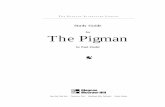 The Study Guide for Pigman by Paul Zindel - Glencoeglencoe.com/sec/literature/litlibrary/pdf/pigman.pdf · The Pigman Study Guide 13 ... sympathy for other people; pity (p. 5) distort