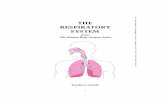THE RESPIRATORY SYSTEM - Global · PDF fileimages in all states of health and is a great way to impress ... The respiratory system is designed to obtain oxygen from ... the bronchial