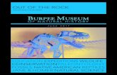 OUT OF THE ROCK - Burpee Museum of Natural · PDF fileSummer activities at Burpee are open to kids of all ages. ... volunteers or sponsors is what keeps Burpee alive. ... Jill Rae