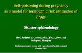 Self-poisoning during pregnancy as a model for teratogenic ... · PDF filesex: female excess (1 : 4) ... cong.inguinal hernia 3 undescended testis 2 talipes equinovarus 2 cong.dislocation