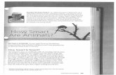 How Smart are Animals - · PDF fileDorothy Hinshaw Patent (b. 1 940) was born in Minnesota. As a child, Patent loved animals and being outdoors, spending much of her time exploring
