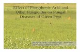 Effect of Phosphonic Acid and Other Fungicides on Fungal ...extension.oregonstate.edu/.../Lyndon_Porter_-_Phosphorous_acid.pdf · Effect of Phosphonic Acid and Other Fungicides on