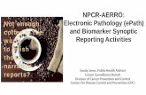 NPCR-AERRO: Not enough Electronic Pathology (ePath) · PDF fileNPCR-AERRO: Electronic Pathology (ePath) and Biomarker Synoptic Reporting Activities Sandy Jones, Public Health Advisor
