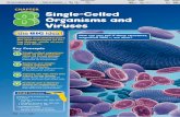 Single-Celled Organisms and Viruses - Troy City · PDF filedo you think microscopic ... need to survive within their one cell. ... Chapter 8:Single-Celled Organisms and Viruses 259