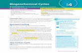 Biogeochemical Cycles LESSON 4 - Warren Hills Regional .... 3... · getting used up? Here’s the answer: ... Phosphorus is a key component of cell membranes and of ... useful to