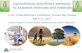 Lignocellulosic biorefinery pathways to biobased chemicals ... · PDF file10.05.2017 · Lignocellulosic biorefinery pathways to biobased chemicals and materials 1st Int. Forest Biorefinery