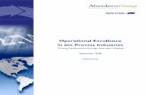 Operational Excellence in the Process Industries · PDF fileOperational Excellence in the Process Industries: ... Maintenance, Lakeside Steel ... Operational Excellence in the Process