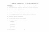 Cells & Heredity Scavenger · PDF fileCells & Heredity Scavenger Hunt ... Vocabulary specialization the particular organization of a cell and its organelles that allows it to do a
