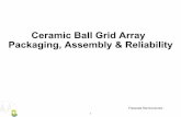 Ceramic Ball Grid Array - NXP Semiconductorscache.freescale.com/files/32bit/doc/package_info/CBGAPRES.pdf · Ceramic Ball Grid Array Packaging, Assembly & Reliability Freescale Semiconductor.