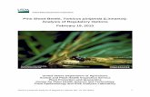 Pine Shoot Beetle, Tomicus piniperda (Linnaeus): Analysis ... · PDF filePine Shoot Beetle, Tomicus piniperda (Linnaeus): Analysis of Regulatory Options . February 19, 2015 . United