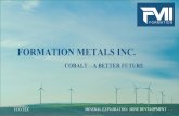 FORMATION METALS INC. - · PDF fileFOMERLY FORMATION METALS INC. ... It is important to note that actual outcome and the actual results could differ from those ... 999 West Hastings