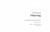 FX Basics Filtering - CCRMAesteban/stompbox/2015/2015_Stompbox... · Digital Filters FX Basics: Filtering DIGITAL FILTER Output ... ( IIR) - Presents both b i ... (viii) FX Basics: