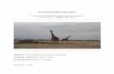 INTERNSHIP REPORT - · PDF fileINTERNSHIP REPORT . Enduimet Wildlife Management Area, Tanzania . July 8th, 2013 – August 19th, 2013 . Students: Fanny Olsthoorn & Krijn Turkenburg