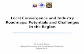 Local Convergence and Industry Roadmaps: Potentials · PDF fileLocal Convergence and Industry Roadmaps: Potentials and Challenges ... - 753 people sqm. ... Ensure equitable access