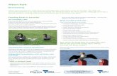 Microsoft Word - Albert Park - Feeding the Birds.docparkweb.vic.gov.au/__data/assets/word_doc/0008/...acc…  · Web viewCreated Date: 11/19/2014 00:55:31 Title: Microsoft Word -