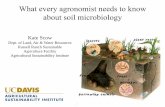 What every agronomist needs to know about soil · PDF fileKate Scow Dept. of Land, Air & Water Resources Russell Ranch Sustainable Agriculture Facility Agricultural Sustainability