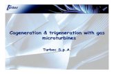 Cogeneration & trigeneration with gas microturbinesdocuments.rec.org/projects/CARLO_MAURI_Turbec.pdf · microturbine . BIOGAS. EXTERNAL COMBUSTION OF BIOMASS. SOLAR APPLICATION .