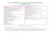 Liver phases 1 and 2 detoxification · PDF fileLiver phases 1 and 2 detoxification pathways ... promote the production and flow of bile. ... Make sure your nuts and seeds are really