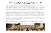 EUROPEAN UNION YOUTH WIND ORCHESTRA - WASBE Union Youth Wind Orchestra 1.pdf · EUROPEAN UNION YOUTH WIND ORCHESTRA Since 1989, around sixty of the most talented young musicians in