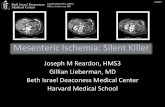 Mesenteric Ischemia: Silent Killer - Lieberman's eRadiologyeradiology.bidmc.harvard.edu/LearningLab/gastro/Reardon.pdf · Joseph M Reardon, HMS3 Gillian Lieberman, MD 3/2012 Mesenteric