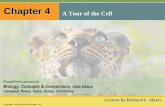 Chapter 4 A Tour of the Cell - Napa Valley College 110/04_Lecture... · Campbell, Reece, Taylor, Simon, and Dickey ... All other forms of life are eukaryotic cells –Both prokaryotic