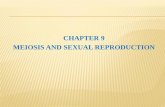 CHAPTER 9 MEIOSIS AND SEXUAL REPRODUCTION · PDF fileCHAPTER 9 MEIOSIS AND SEXUAL REPRODUCTION . ... gametes form by way of meiosis, as chapter 27 ... (Figure 9.10). As an occyte divides