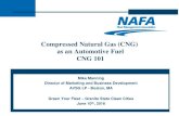 Compressed Natural Gas (CNG) as an Automotive Fuel … what is CNG? • Compressed natural gas or CNG is the compressed form of natural gas. So in reality - it is the same fuel consumers