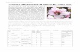 Northern American nectar sources for honey · PDF fileNorthern American nectar sources for honey bees 3 T Pussy Willow Salix discolor 3 4 no feral, ornamental major but temperature