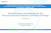 Pricing Strategies and Challenges for The ... · PDF filePricing Strategies and Challenges for The Telecommunications Authority of Trinidad and Tobago 6th July 2010 Cynthia Reddock-Downes