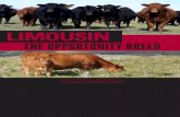 THE OPPORTUNITY BREED - Legacy Farmslegacyfarmscattle.com/pdf/2013/NALF_Promo.pdfvariety of qualities and options from Fullblood to Purebred to the Lim-Flex hybrid (Limousin x Angus