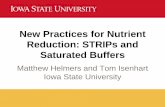 New Practices for Nutrient Reduction: STRIPs and …cdiowa.org/wp-content/uploads/2012/12/HelmersandIsenhart.pdfReduction: STRIPs and Saturated Buffers ... **Concentration reduction