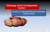 Pathology of the Hematopoietic Systempeople.upei.ca/smartinson/Hemat-L2-11_Shannon.pdf · retropharyngeal LN sheep •As opposed to reactive hyperplasia which is an antigen ... Caseous