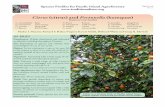 Citrus (citrus) and Fortunella (kumquat) · PDF fileC. paradisi grapefruit West Indies recent introduction to many Pacific islands C. reticulata mandarin SE Asia recent introduction