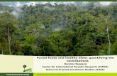 Forest foods and healthy diets: quantifying the contributionsanh- . foods and healthy diets: quantifying the contributions ... micronutrient rich foods in Indonesia –with ... vegetables