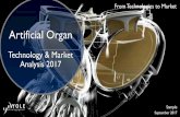 Artificial Organs Technology & Market Analysis - I-micronews · PDF file3 o OEMs & System Integrators: •To evaluate benefits of artificial organs •To identify the artificial organs