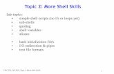 Topic 2: More Shell Skillscourses.caslab.queensu.ca/.../uploads/sites/24/2016/09/MoreShell.pdf · Is it a built-in shell command? 2. In each directory ... More Shell Skills 13 shell