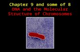 [PPT]Chapter 9 DNA and the Molecular Structure of …biology.hunter.cuny.edu/molecularbio/Class Materials... · Web viewTitle Chapter 9 DNA and the Molecular Structure of Chromosomes